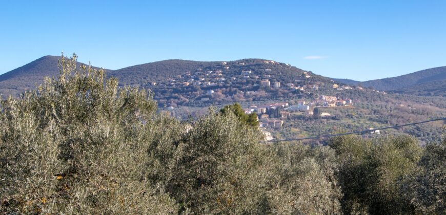 PANORAMICISSIMA CASA SINGOLA CON TERRENO