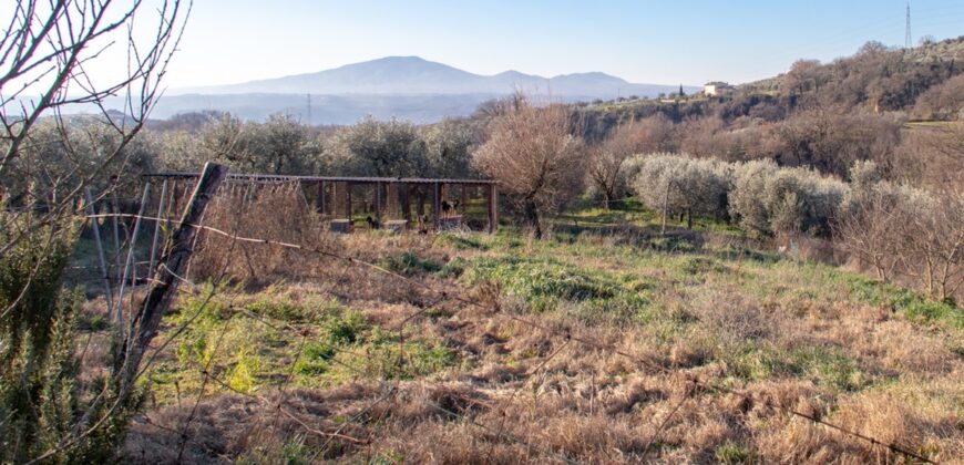 PANORAMICISSIMA CASA SINGOLA CON TERRENO