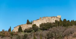 PORZIONE DI CASA SU UNICO LIVELLO CON GIARDINO. – RIF.5GUA