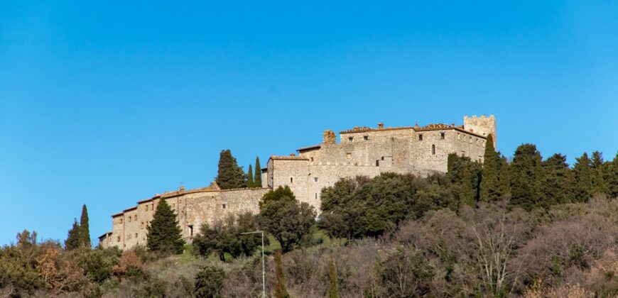 PORZIONE DI CASA SU UNICO LIVELLO CON GIARDINO. – RIF.5GUA