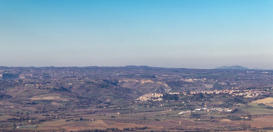 PORZIONE DI CASA SU UNICO LIVELLO CON GIARDINO. – RIF.5GUA