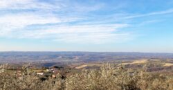 PANORAMICA PORZIONE DI CASA SU UNICO LIVELLO CON GARAGE – Rif. 1mon