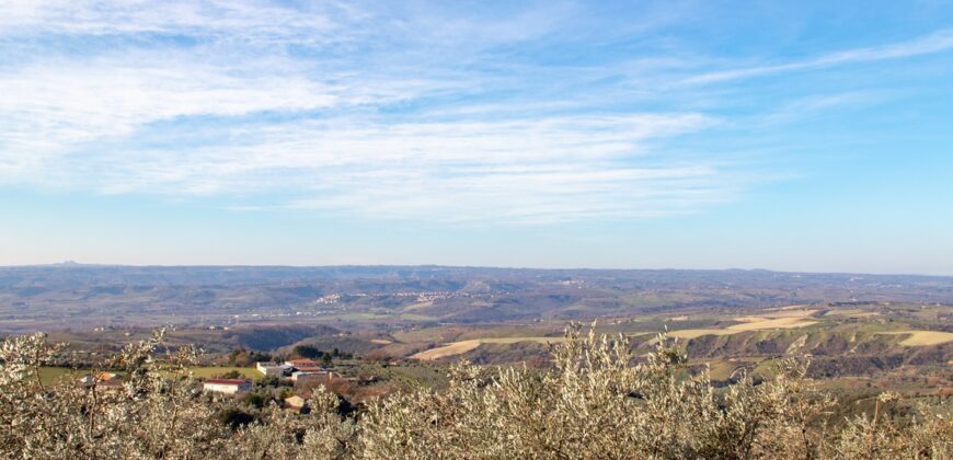 PANORAMICA PORZIONE DI CASA SU UNICO LIVELLO CON GARAGE – Rif. 1mon