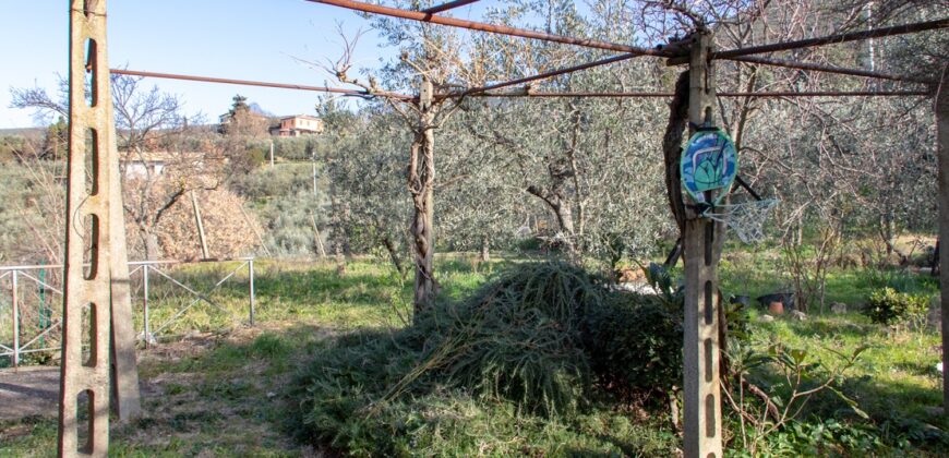 PANORAMICA PORZIONE DI CASA SU UNICO LIVELLO CON GARAGE – Rif. 1mon