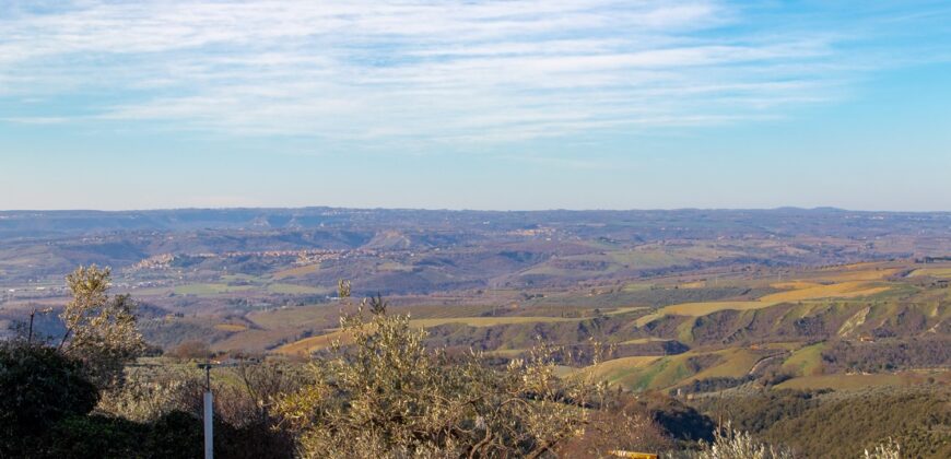 PANORAMICA PORZIONE DI CASA SU UNICO LIVELLO CON GARAGE – Rif. 1mon