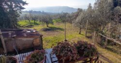 PANORAMICA PORZIONE DI CASA CON GIARDINO – Rif. 8alv