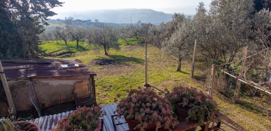 PANORAMICA PORZIONE DI CASA CON GIARDINO – Rif. 8alv