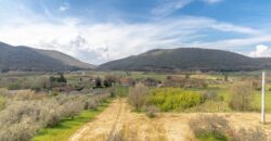 PORZIONE DI CASA CON GARAGE E TERRENO