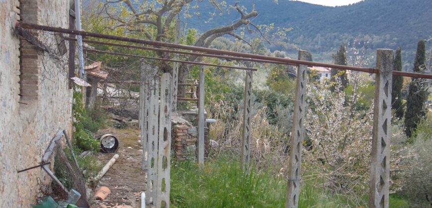 PORZIONE DI CASA CON GARAGE E TERRENO