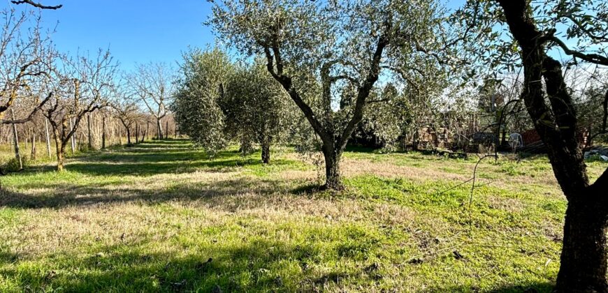 CASA SINGOLA CON TERRENO Rif 192 Ort bas