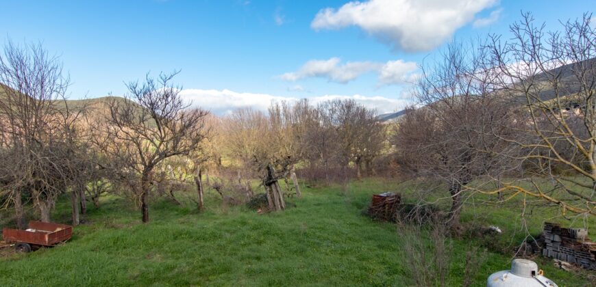 CASA BIFAMILIARE CON TERRENO DI 5000 MQ. – RIF. 26GUA